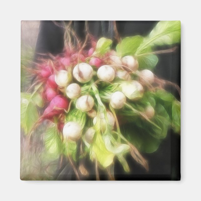 Radish & Turnip Harvest Magnet (Framsidan)