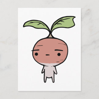 Radish Vykort