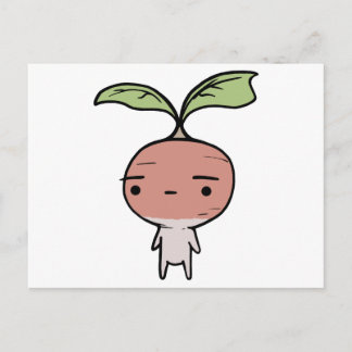 Radish Vykort