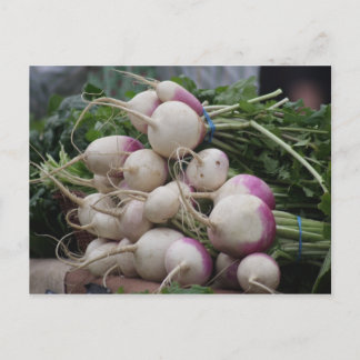 Radish Vykort