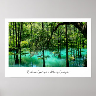 Radium Vår ~ Albany Georgia Poster