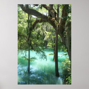 Radium Vår Beauty Poster