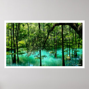 Radiumvår, Albany, Georgia Poster