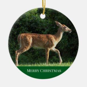 Rådjur Foto Ornament