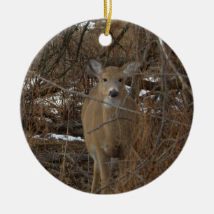 Rådjur Foto Ornament