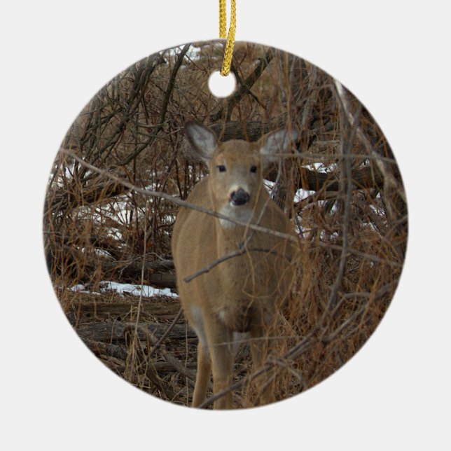 Rådjur Foto Ornament  (Framsidan)