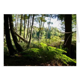 rädsla på farder sjö hälsningskort