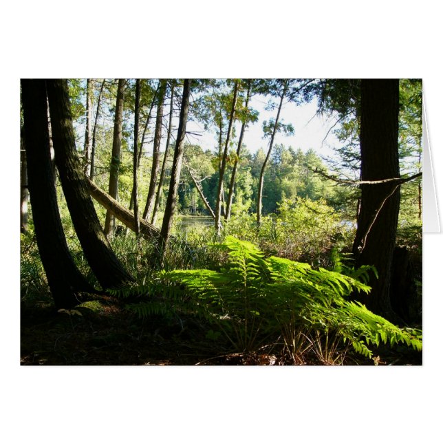 rädsla på farder sjö hälsningskort (Framsidan Horizontal)