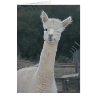 Rafa-kort Hälsningskort