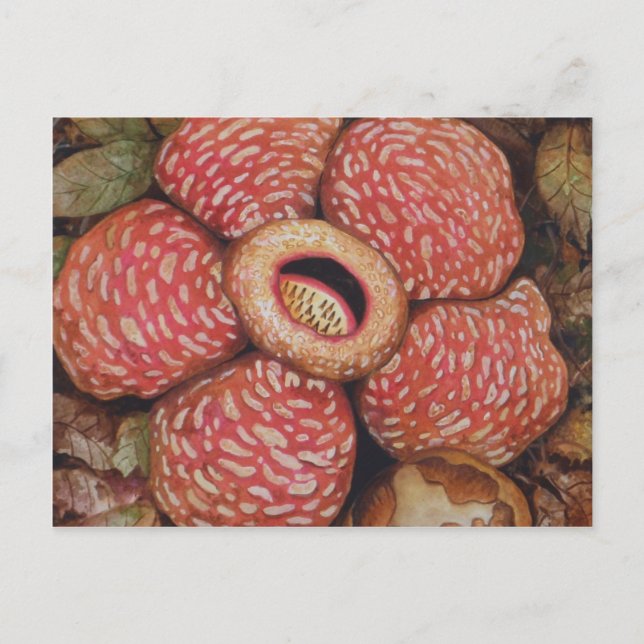 Rafflesia of Borneo Watercolor Art Vykort (Framsida)