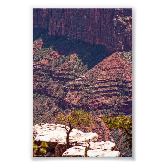 Rafinesque Watches Fototryck (Framsidan)