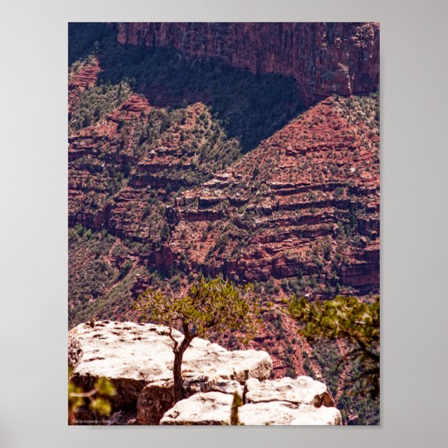 Rafinesque Watches Poster (Framsidan)