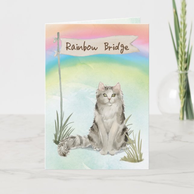 Ragamuffin Cat Pet Sympathy over Rainbow Bridge Kort (Framsida)