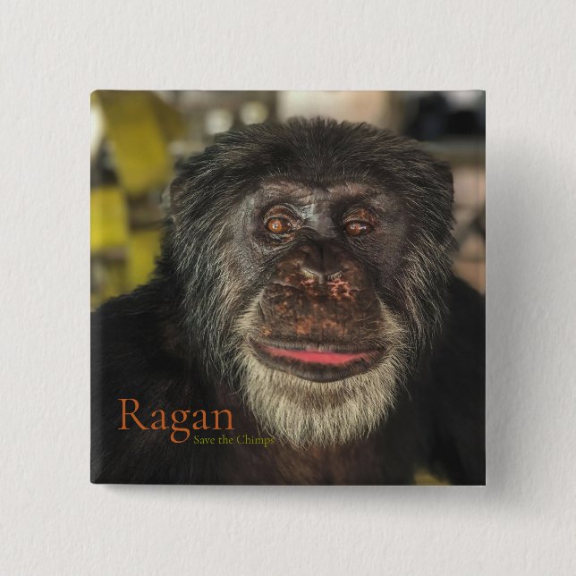 Ragan, Spara Chimps Knapp (Framsida)