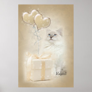 Ragdoll affisch
