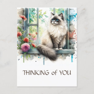 Ragdoll Beige Cat in Window med sommarblommor Vykort