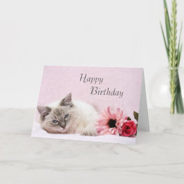 Ragdoll Birthday Card Kort