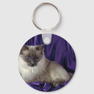 Ragdoll blått pekar nyckelring