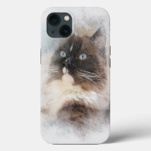 Ragdoll Cat Abstrakt