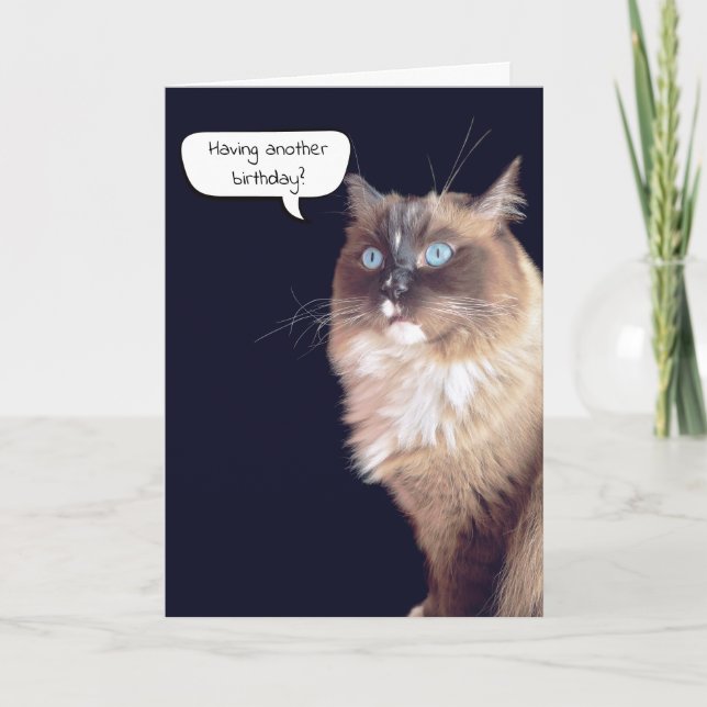 Ragdoll Cat Birthday Humor Kort (Framsida)