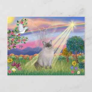 Ragdoll Cat (blå punkt) - Cloud Angel Vykort
