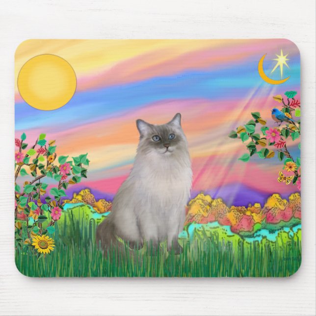Ragdoll Cat (blå punkt) - Dag Star Musmatta (Framsidan)