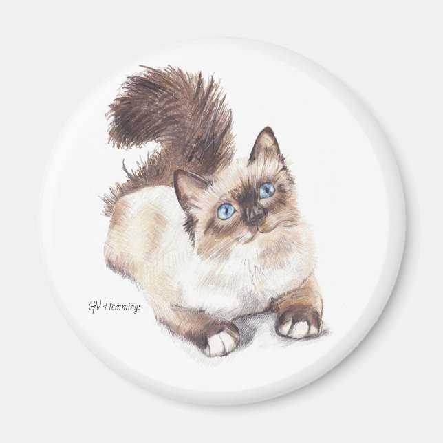 Ragdoll cat by Artist GV Hemmings Magnet (Framsidan)