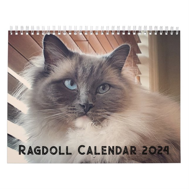 Ragdoll Cat Calendar Kalender (Omslag)