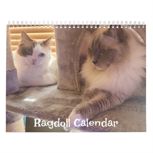 Ragdoll Cat Calendar Kalender (Omslag)