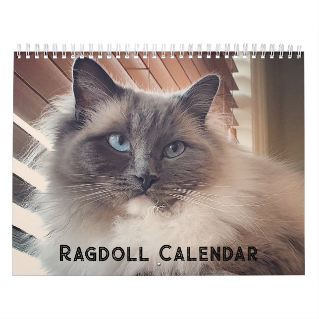 Ragdoll Cat Calendar Kalender (Omslag)