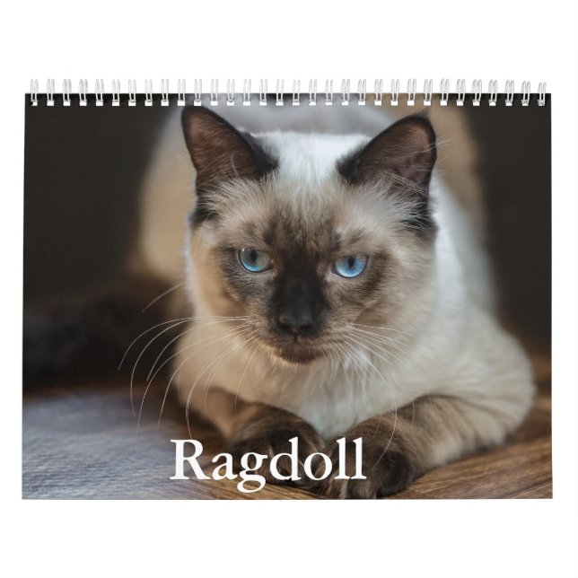 Ragdoll Cat Calendar Kalender (Omslag)
