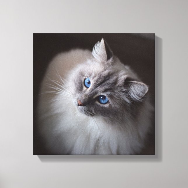 Ragdoll Cat Canvas - Millies blå Ögon (Framsida)