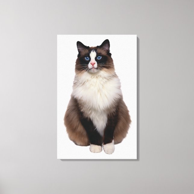 Ragdoll Cat Canvastryck (Framsida)