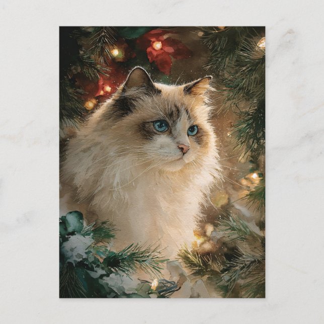 Ragdoll Cat Christmas Vykort (Framsida)