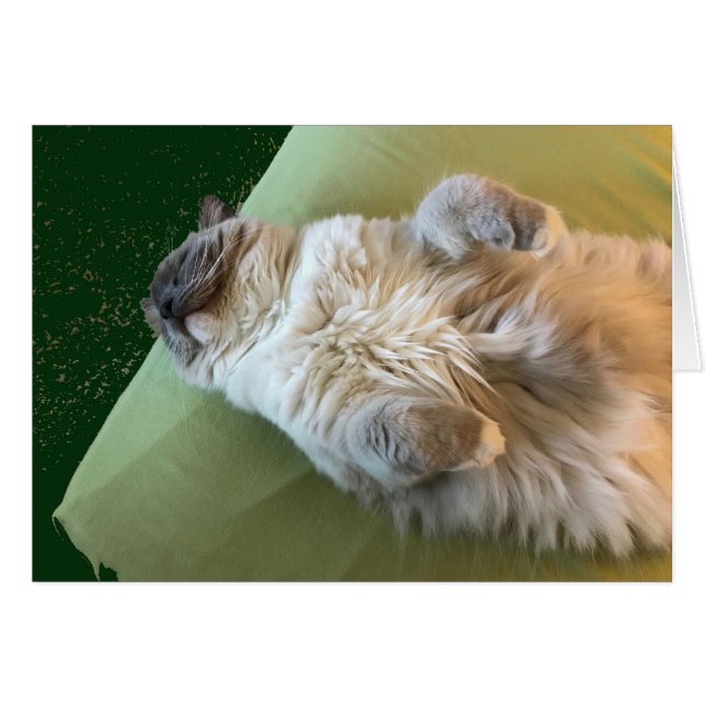 Ragdoll Cat Couch Potato Hälsningskort (Framsidan Horizontal)