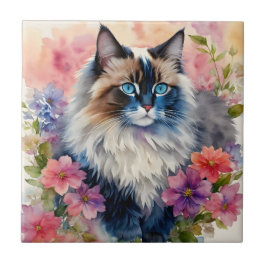 Ragdoll Cat Floral Portrait Kakelplatta