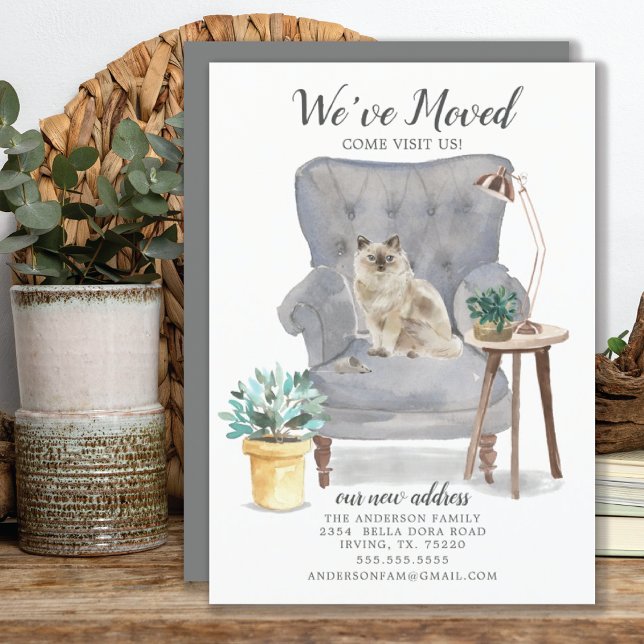 Ragdoll Cat Flytta Announcement Meddelande (Skapare uppladdad)