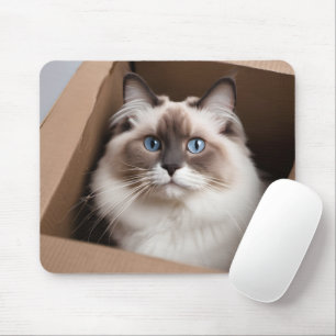 Ragdoll Cat i kartong Musmatta