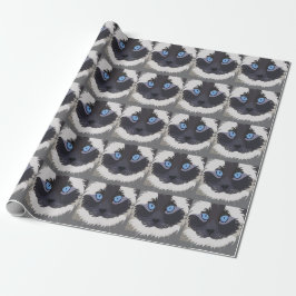 Ragdoll Cat Kattunge Ragdoll Presentpapper