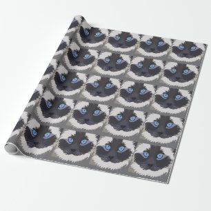 Ragdoll Cat Kattunge Ragdoll Presentpapper