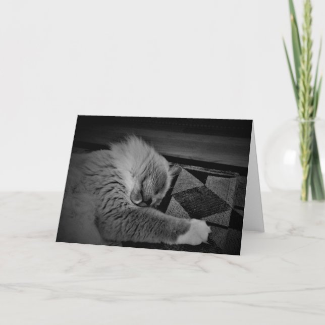 Ragdoll Cat Kort (Framsida)