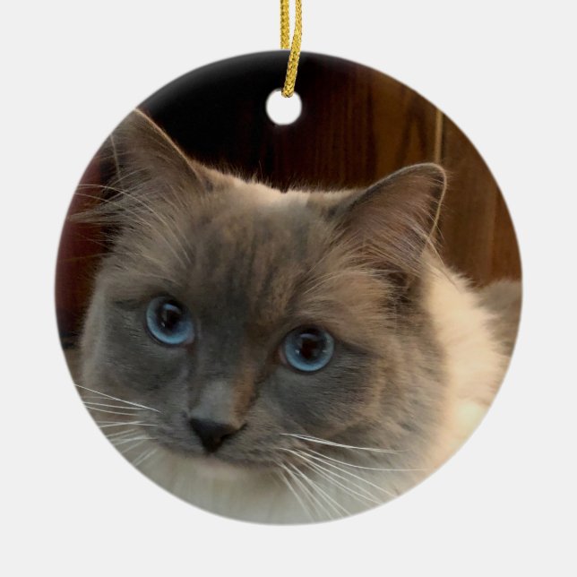 Ragdoll Cat med Blue Öga kan vara personlig  Julgransprydnad Keramik (Framsidan)