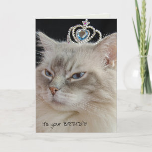 Ragdoll Cat med krona födelsedag Kort