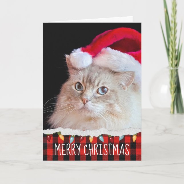 Ragdoll Cat med Santa Hat Kort (Framsida)