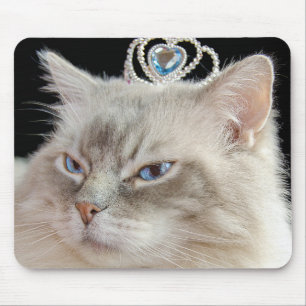 Ragdoll Cat med Tiara Musmatta