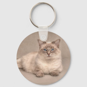 Ragdoll Cat Nyckelring