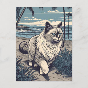 Ragdoll-Cat på en tropisk strand under solnedgånge Vykort