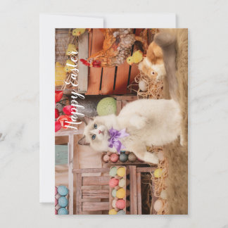 Ragdoll Cat Påsk-hälsningskort Julkort