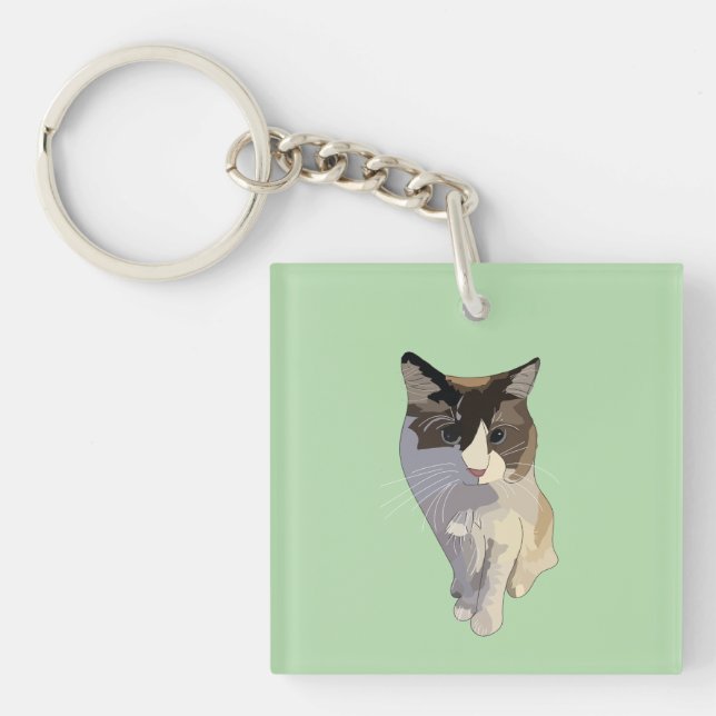 Ragdoll cat, pastel green, stained glass (Framsidan)