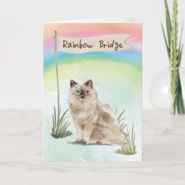 Ragdoll Cat Pet Sympathy over Rainbow Bridge Kort (Framsida)